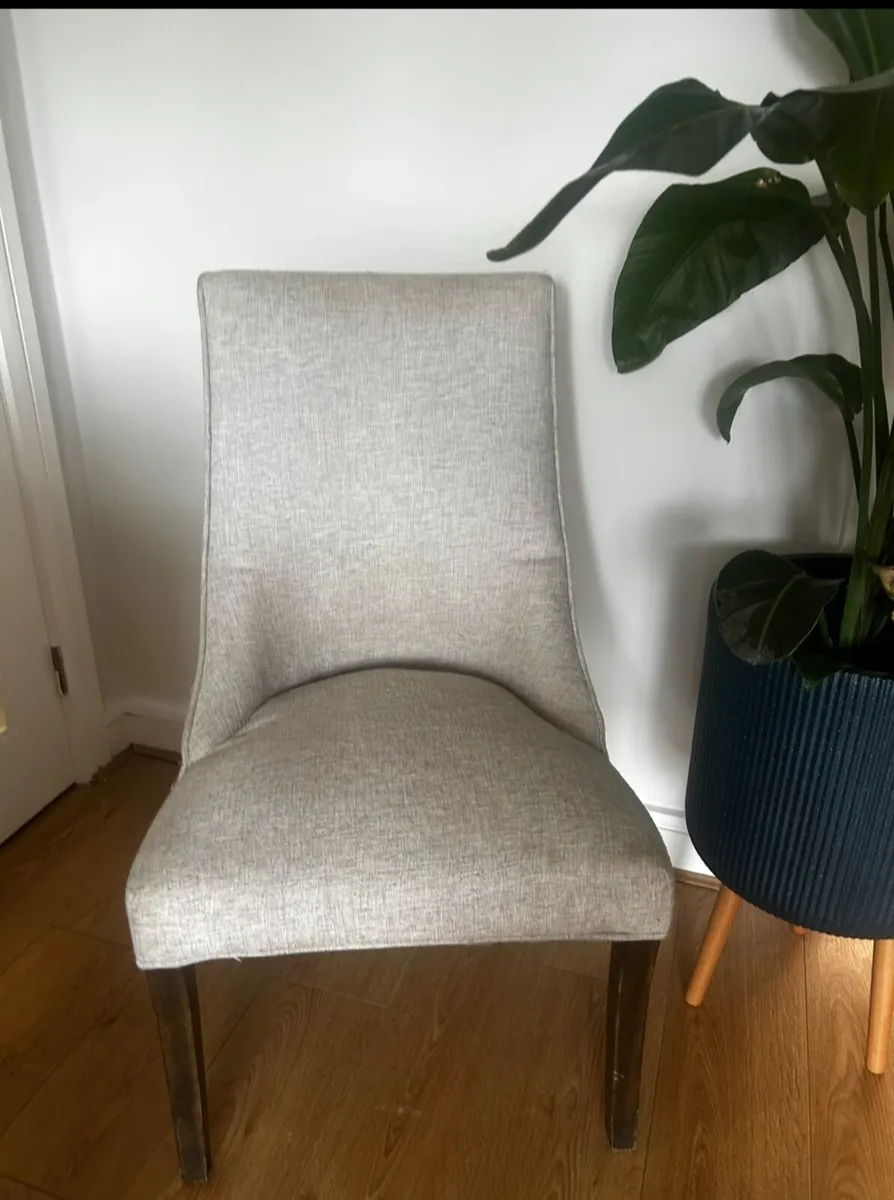 Designer Dining chairs (4 ) - Image 1