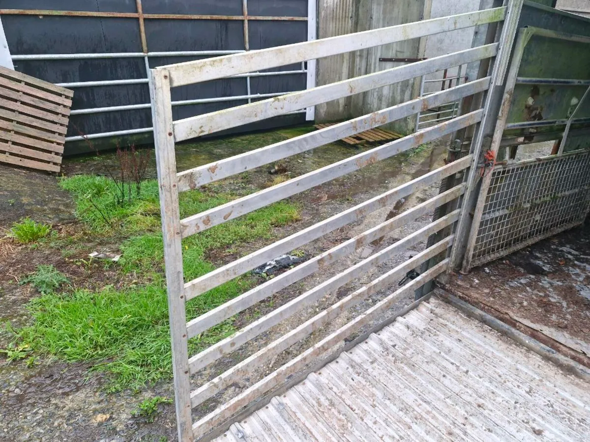 Ifor williams - Image 2