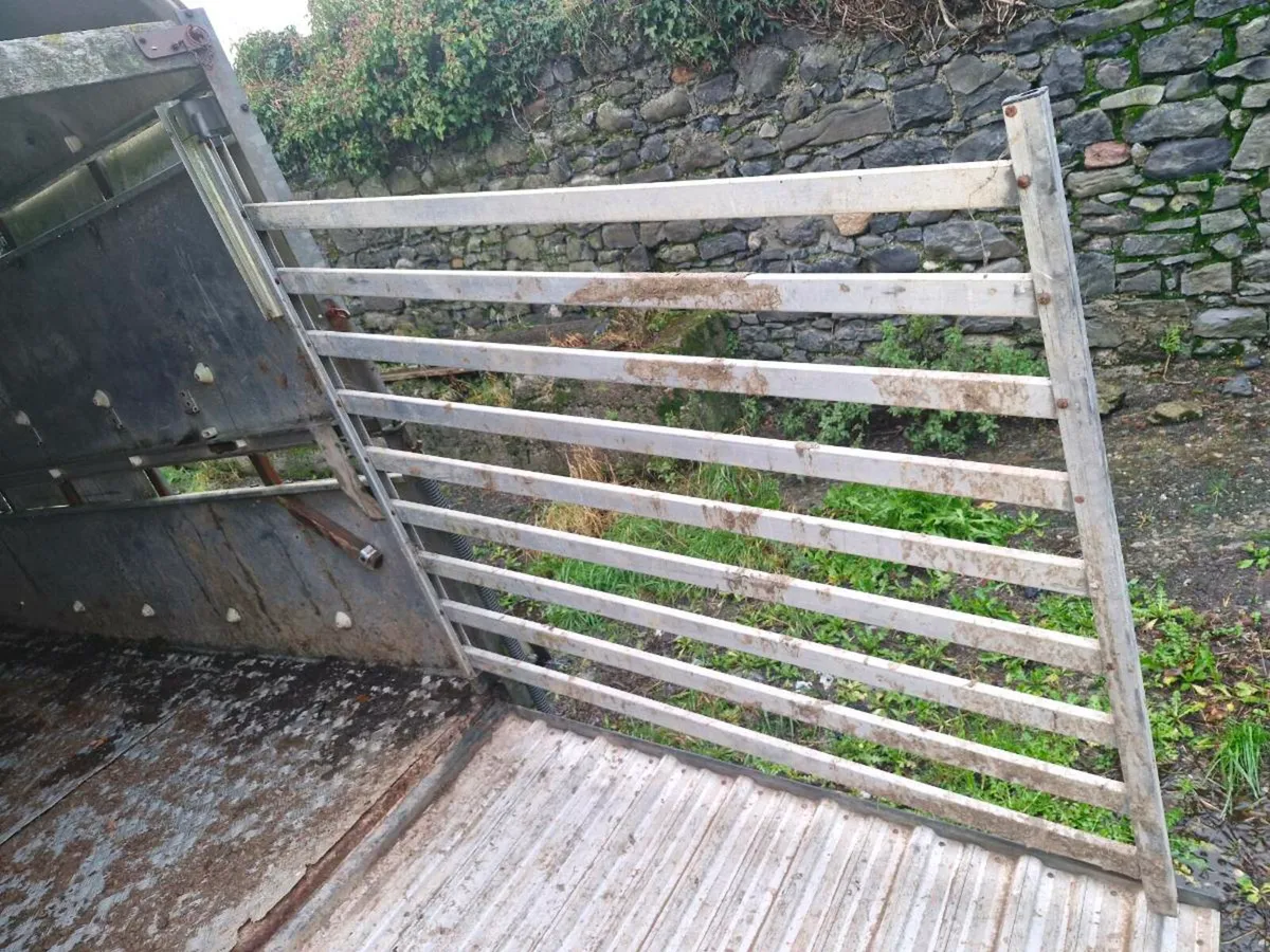 Ifor williams - Image 3