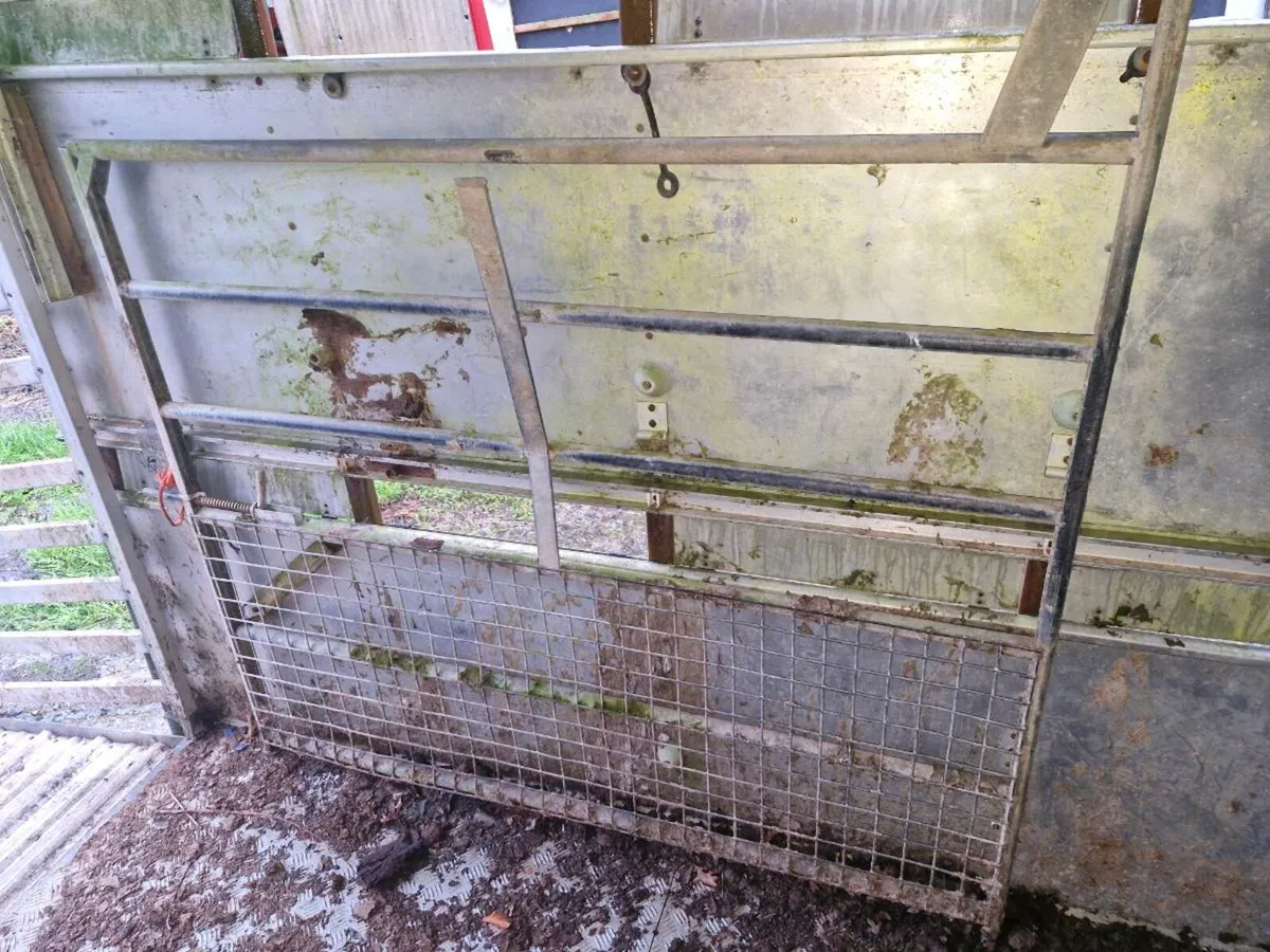 Ifor williams - Image 4