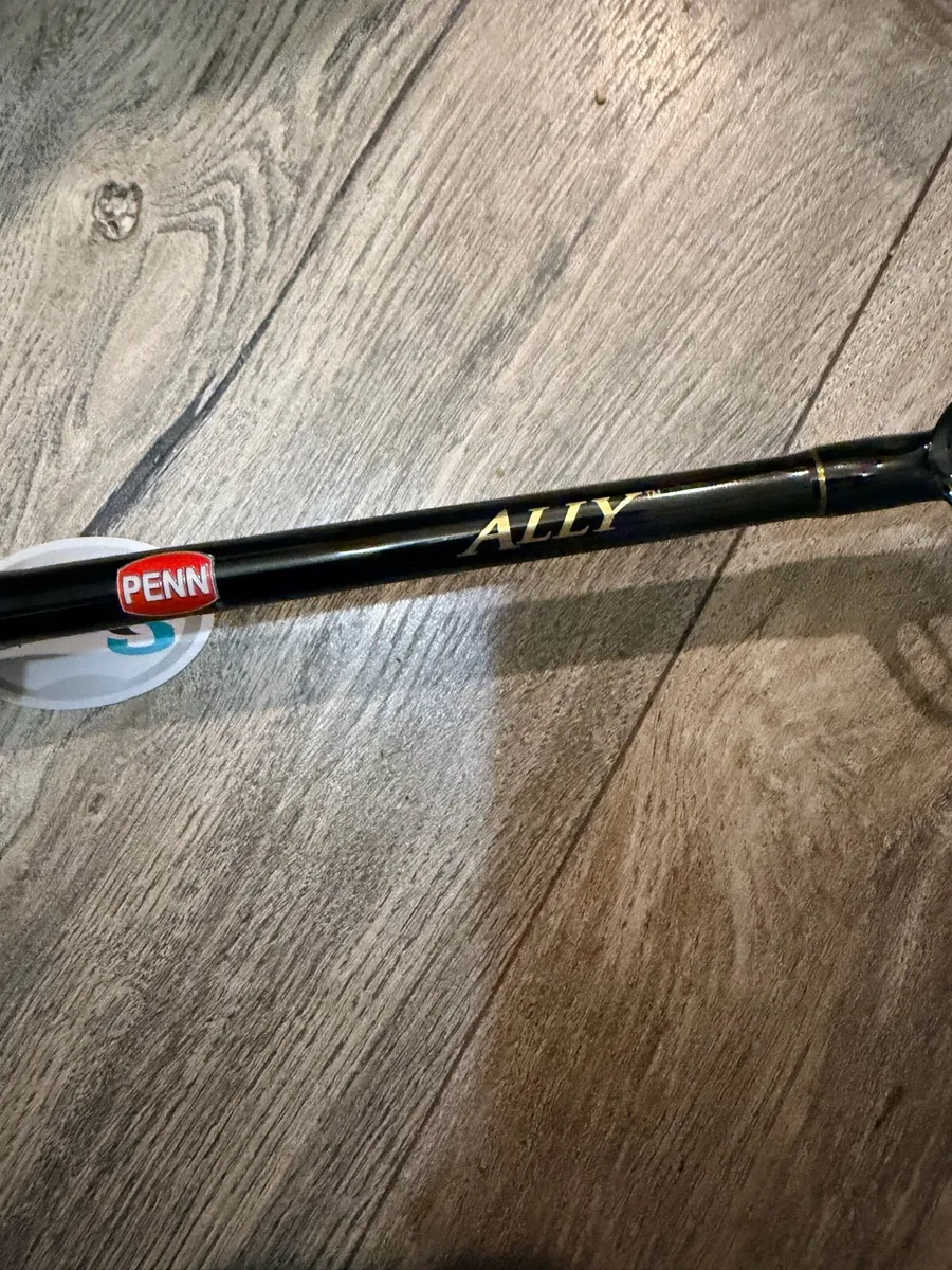Penn Ally boat rod. - Image 1