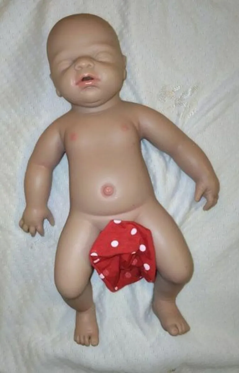 Reborn doll full silicone weighted - Image 1