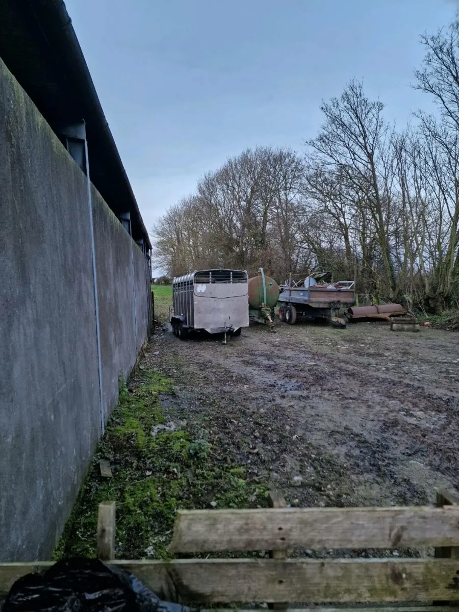 Cattle trailer - Image 2