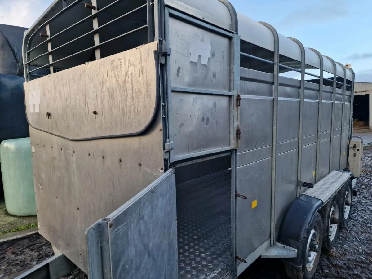 Cattle trailer - Image 3