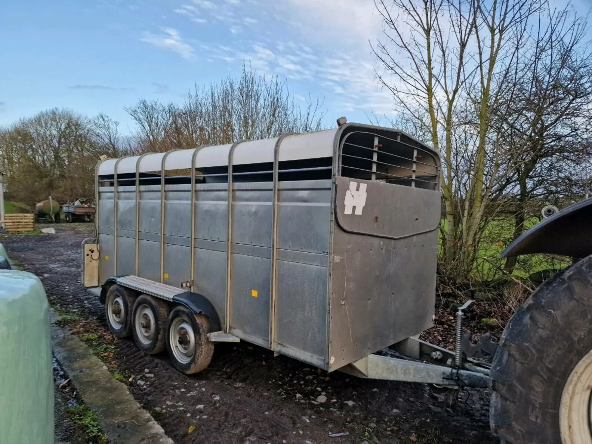 Cattle trailer - Image 1
