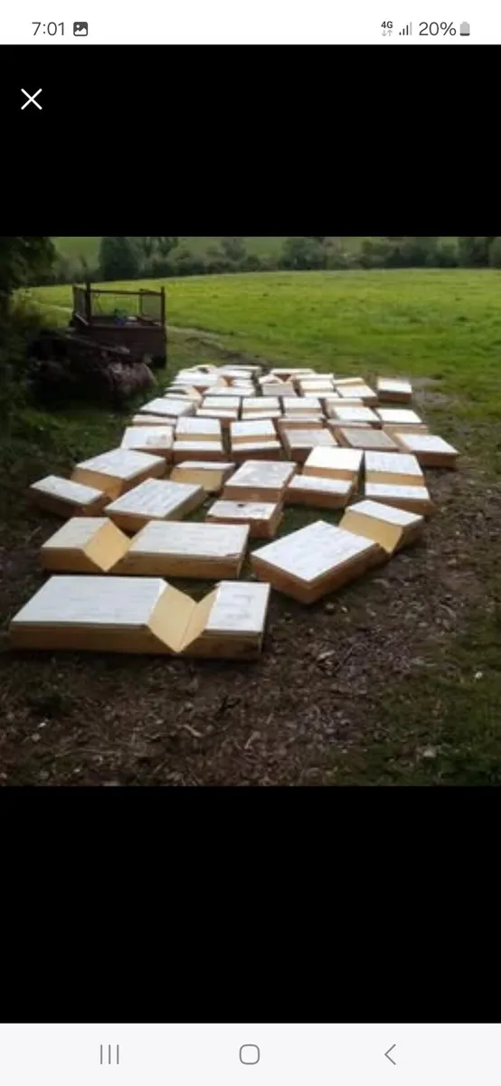 Cavity them insulation - Image 4