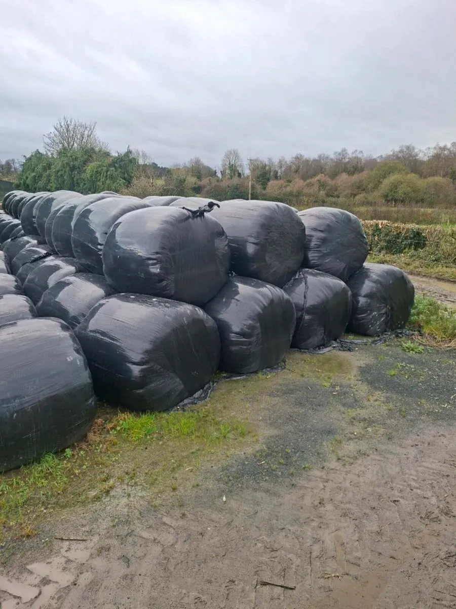 Silage bales