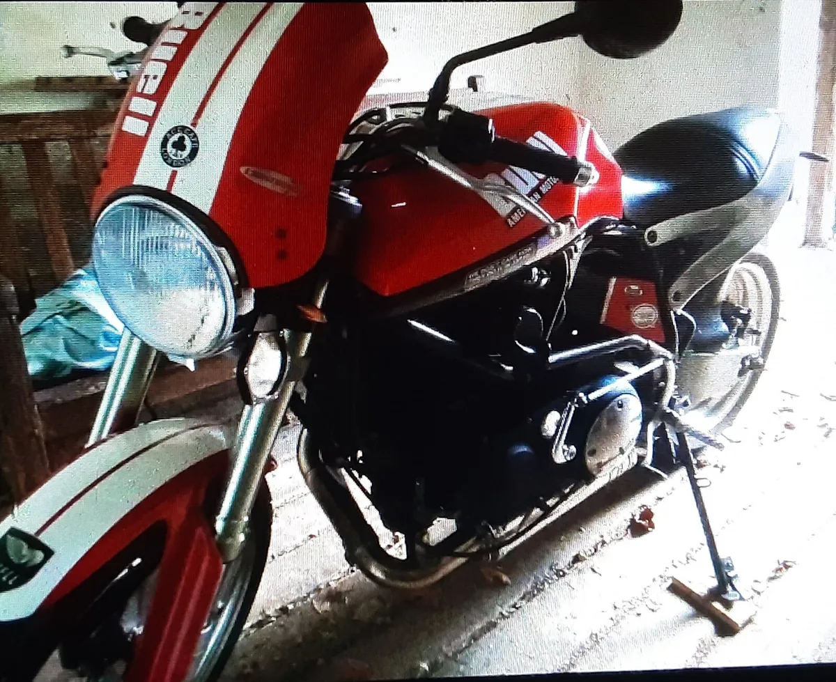 ONLY ONE IN IRELAND - Image 2