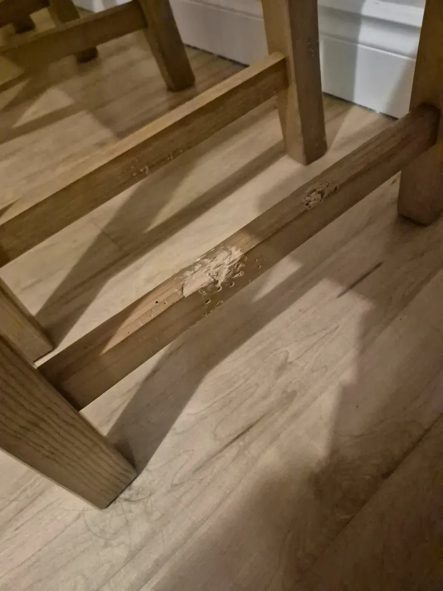 Kitchen chairs - Image 4