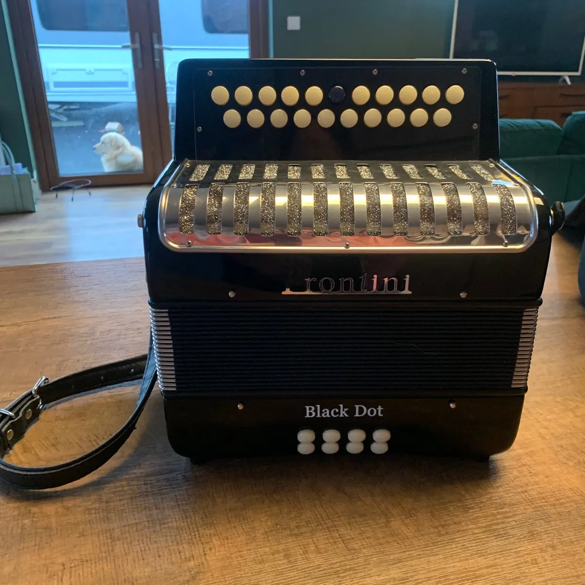 Button Accordion Frontini Black Dot - Image 1