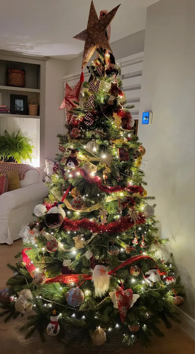 7ft Icelandic Pine Christmas Tree - Image 2