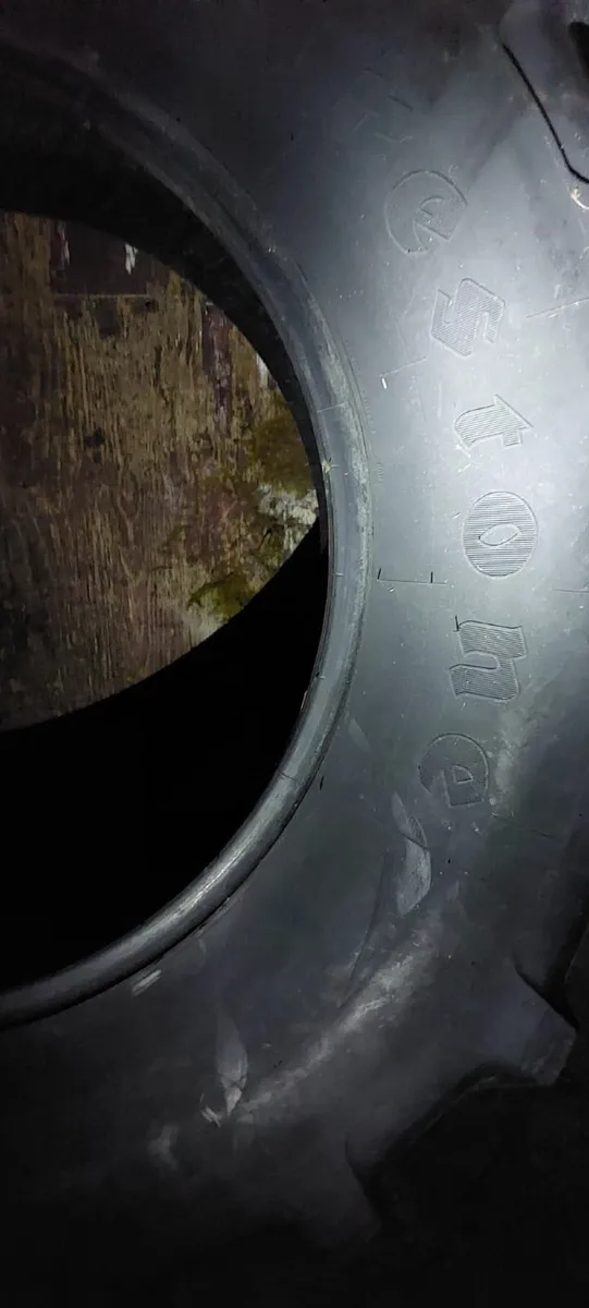 Bale Lifter - Image 3