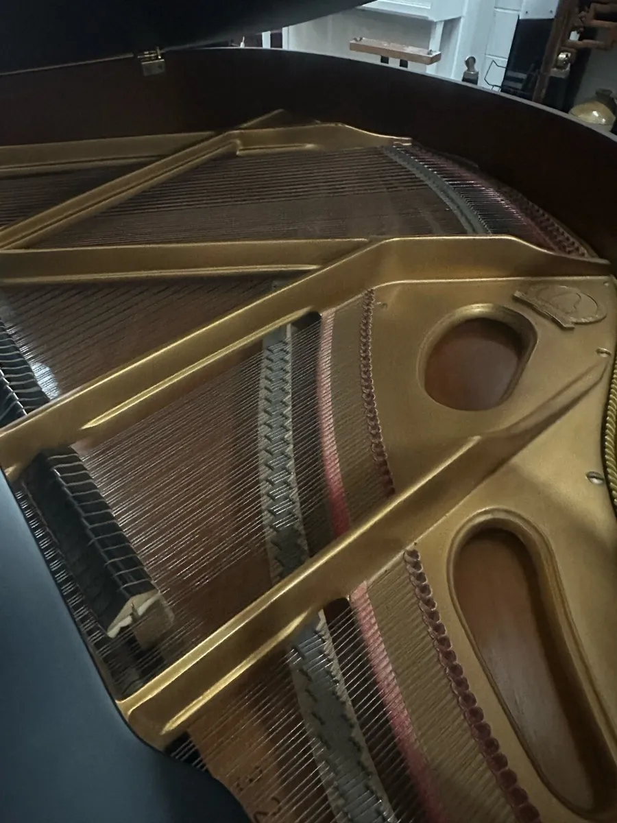 Zimmerman 4.6ft satin black baby grand - Image 2