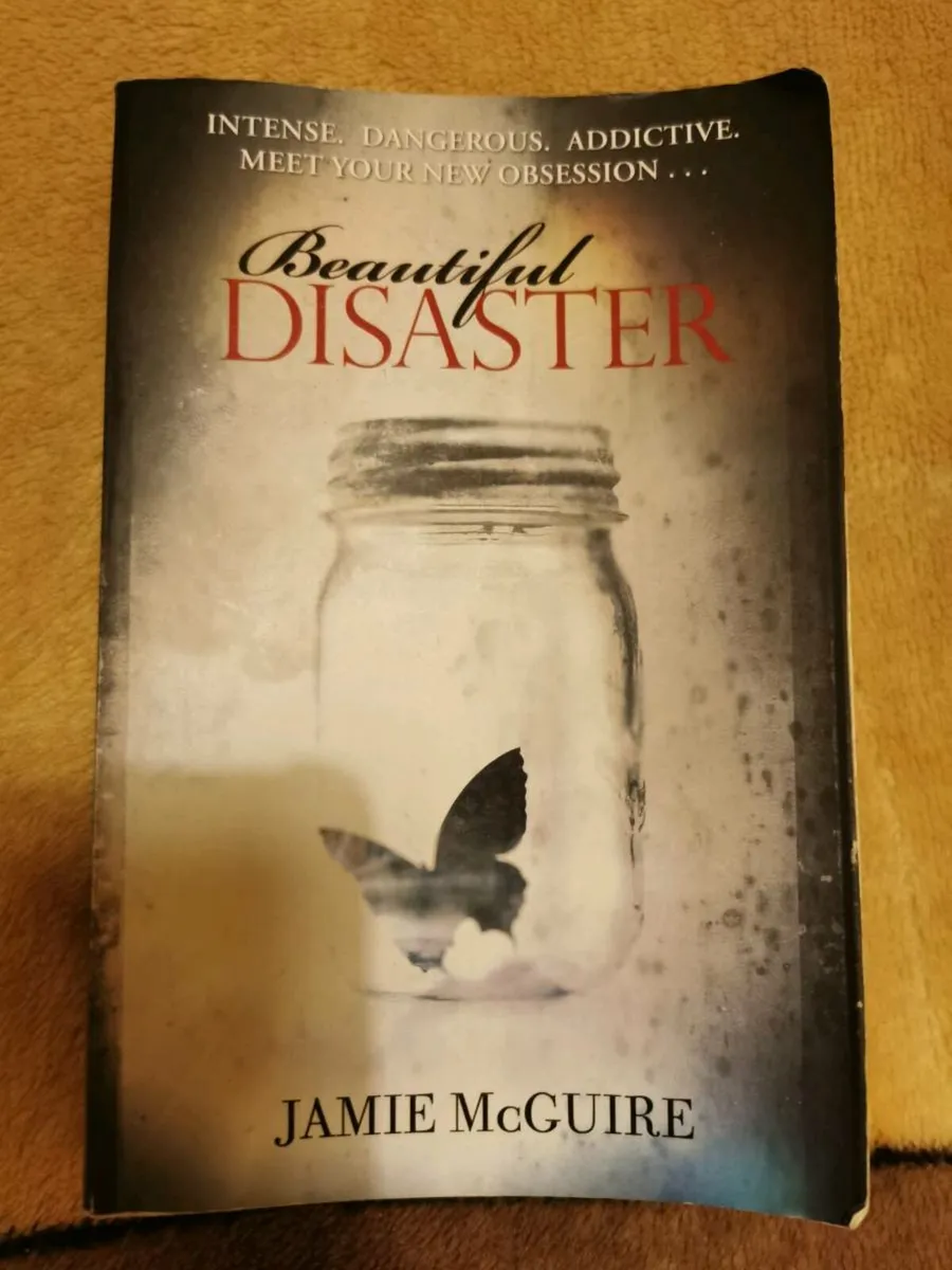 Book beautiful disaster - Image 1