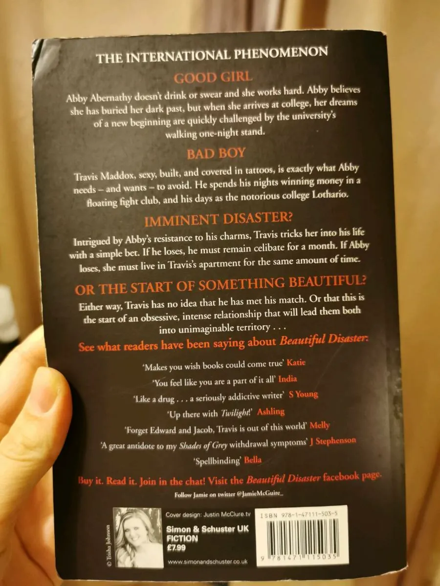 Book beautiful disaster - Image 2