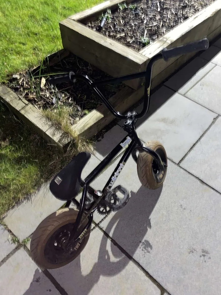 BMX Wildcat Mini Rocker - Image 2