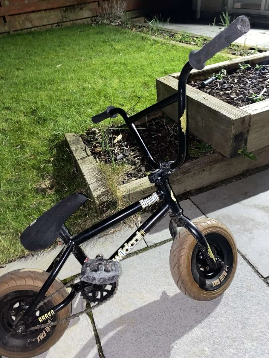 BMX Wildcat Mini Rocker - Image 4