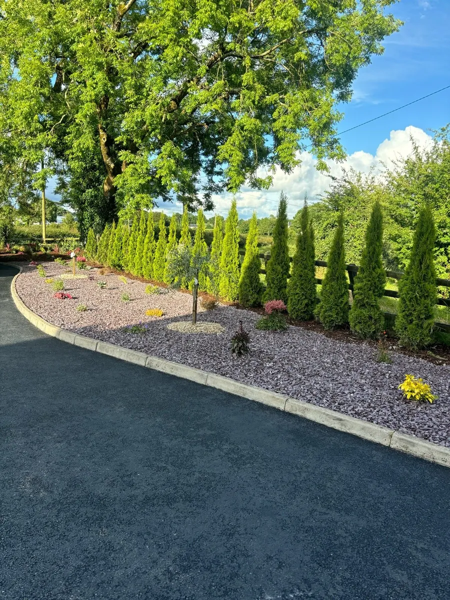 Hedging planting service - Image 2