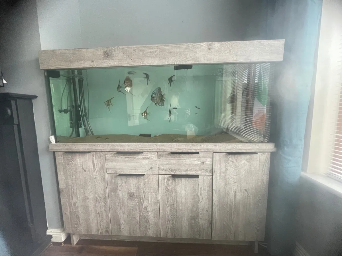 Fish tank - Image 1