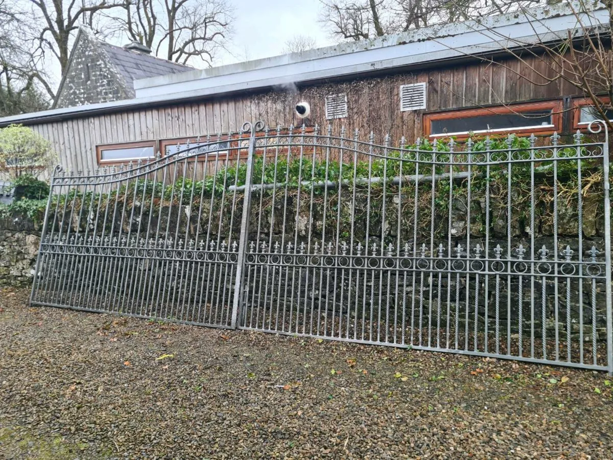 Gates 20ft open - Image 1