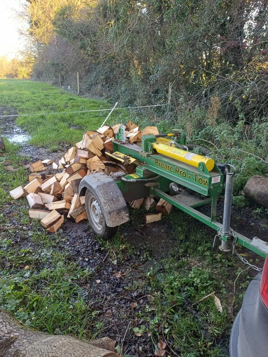 Log splitter - Image 2