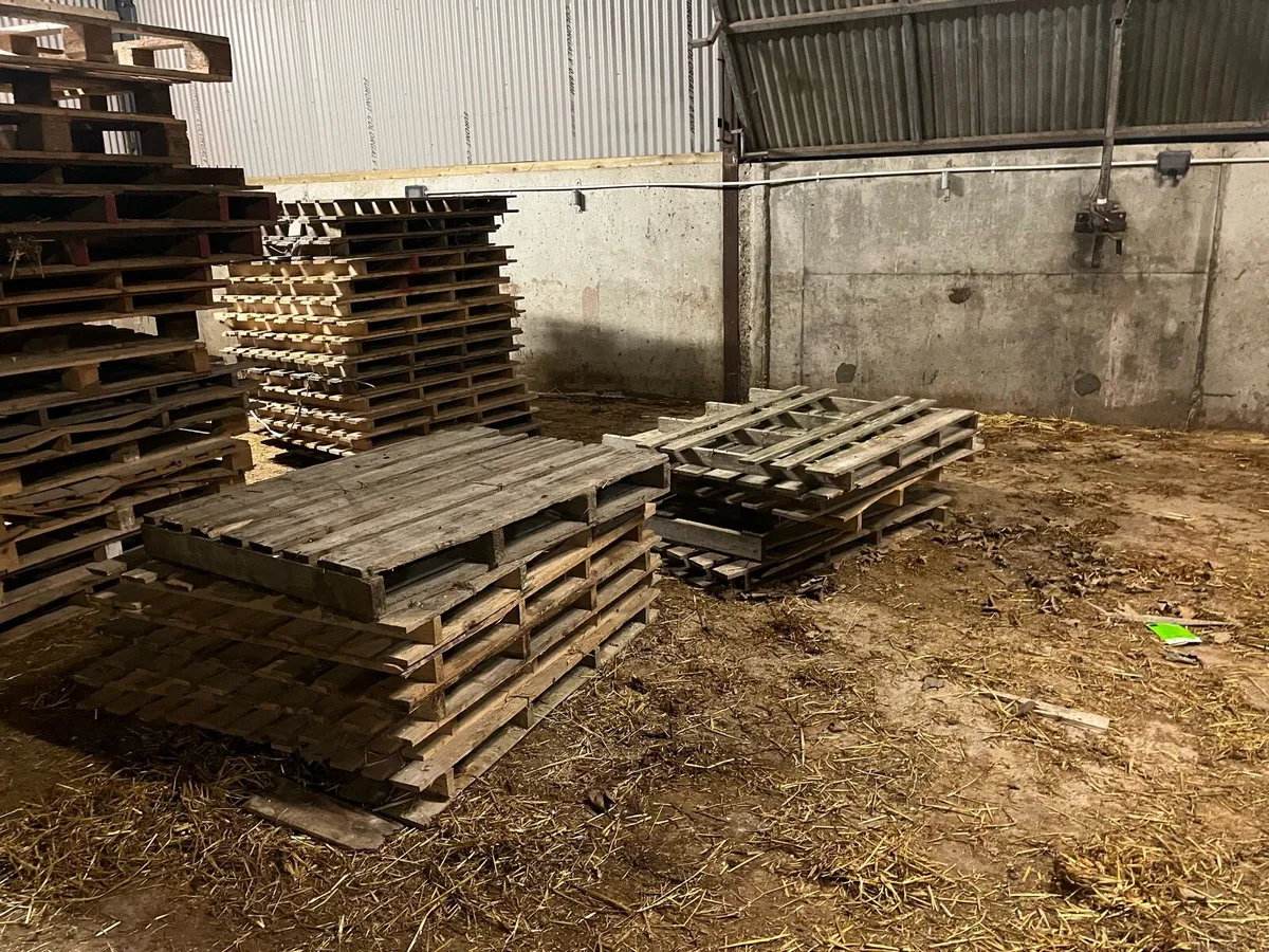Timber pallets - Image 1