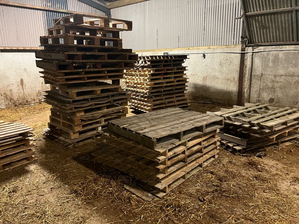 Timber pallets - Image 3