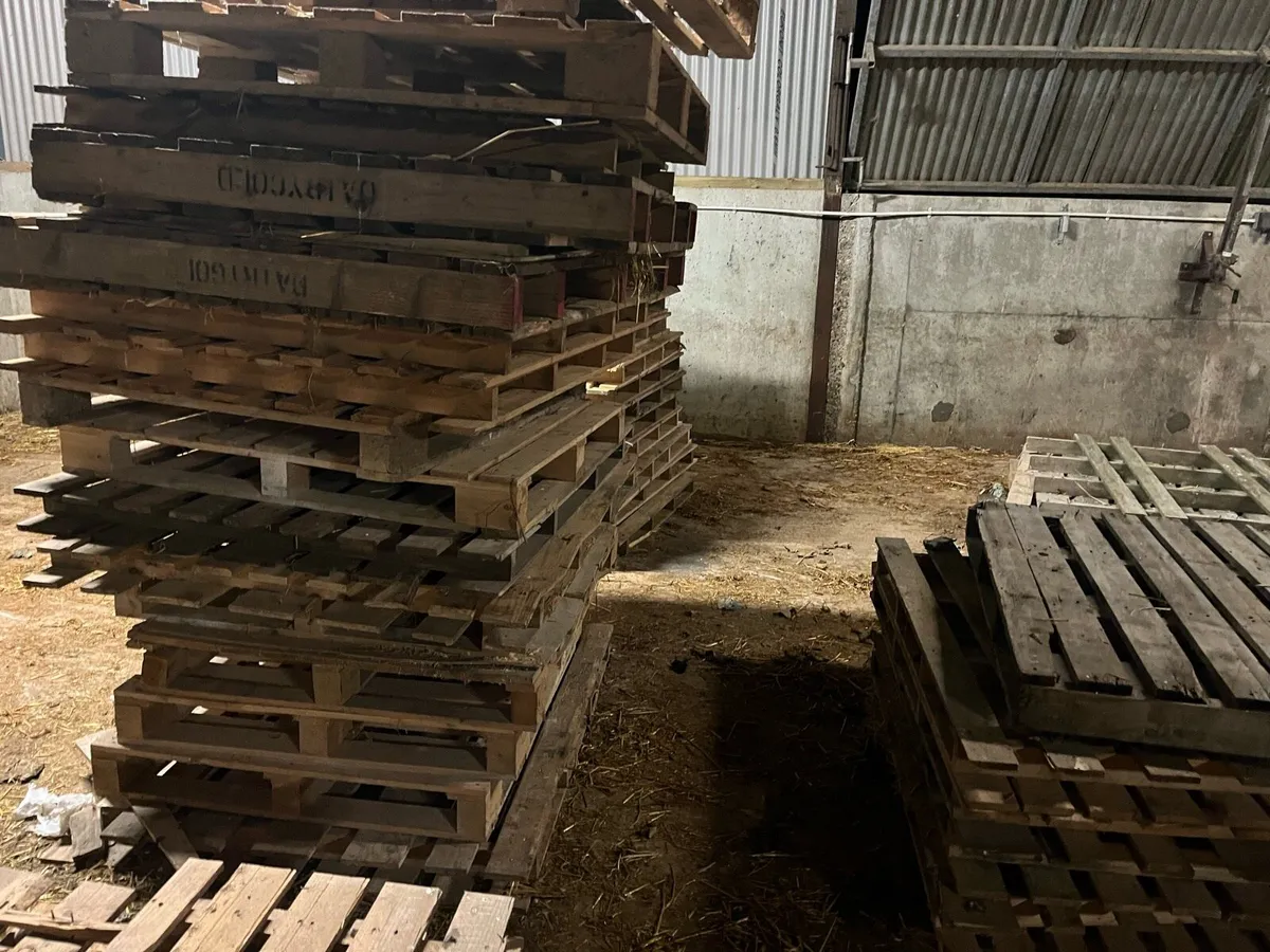 Timber pallets - Image 4