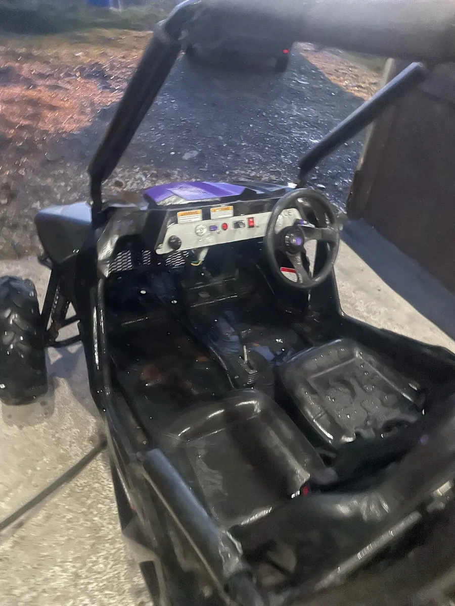 Quadzilla Stingray 210 - Image 3