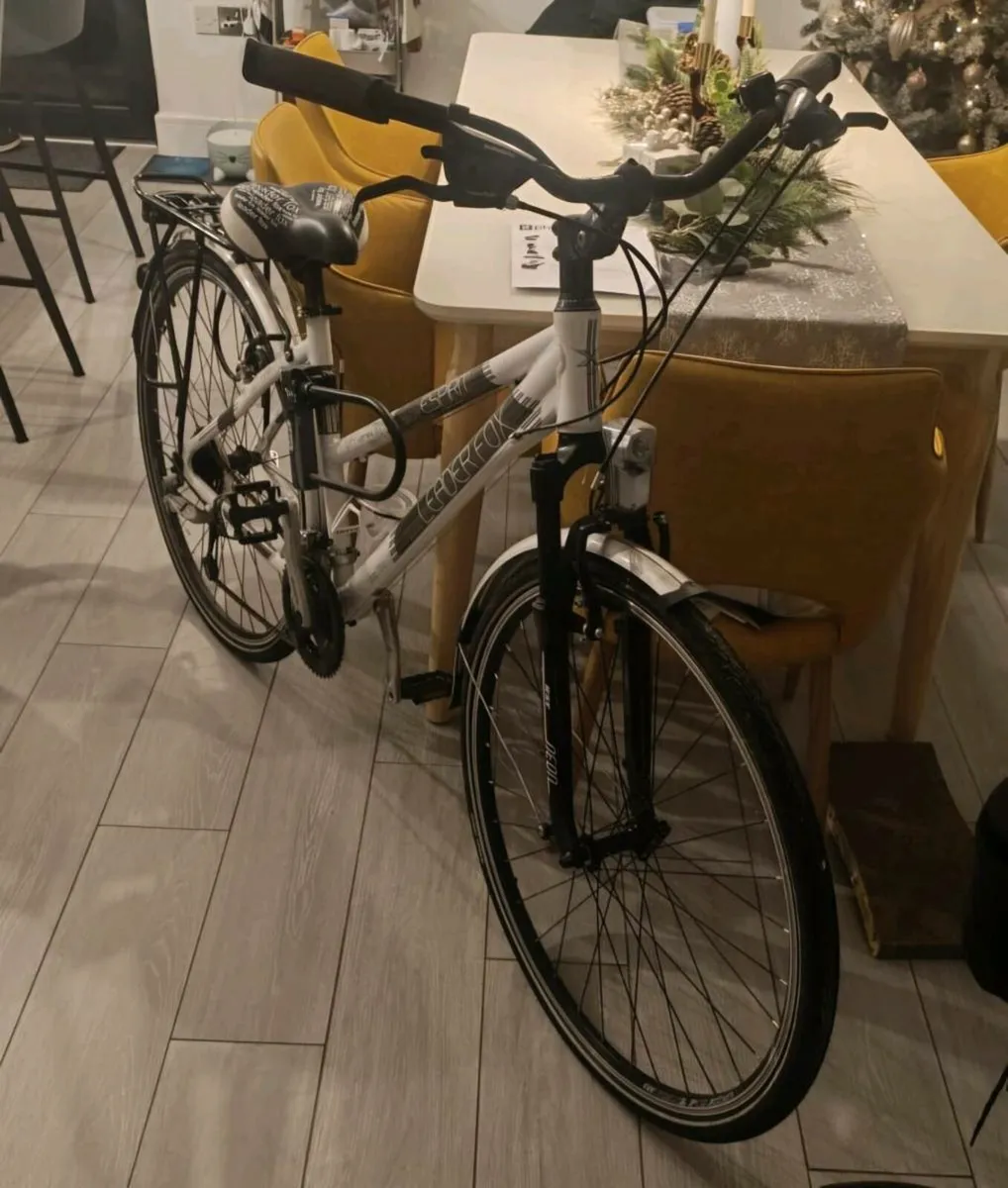 Bike - Image 1