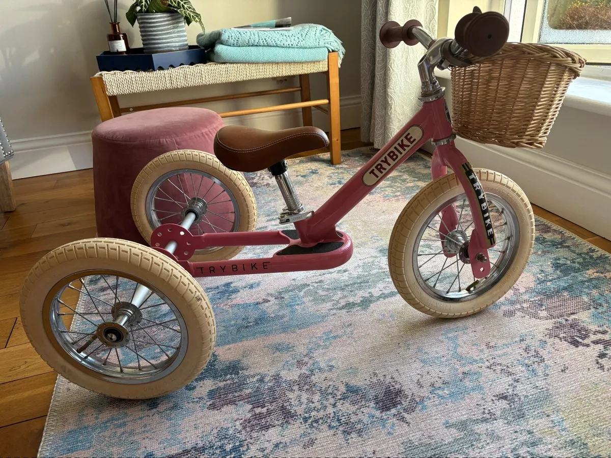 Trybike 2-in-1 balance Trike - Image 3