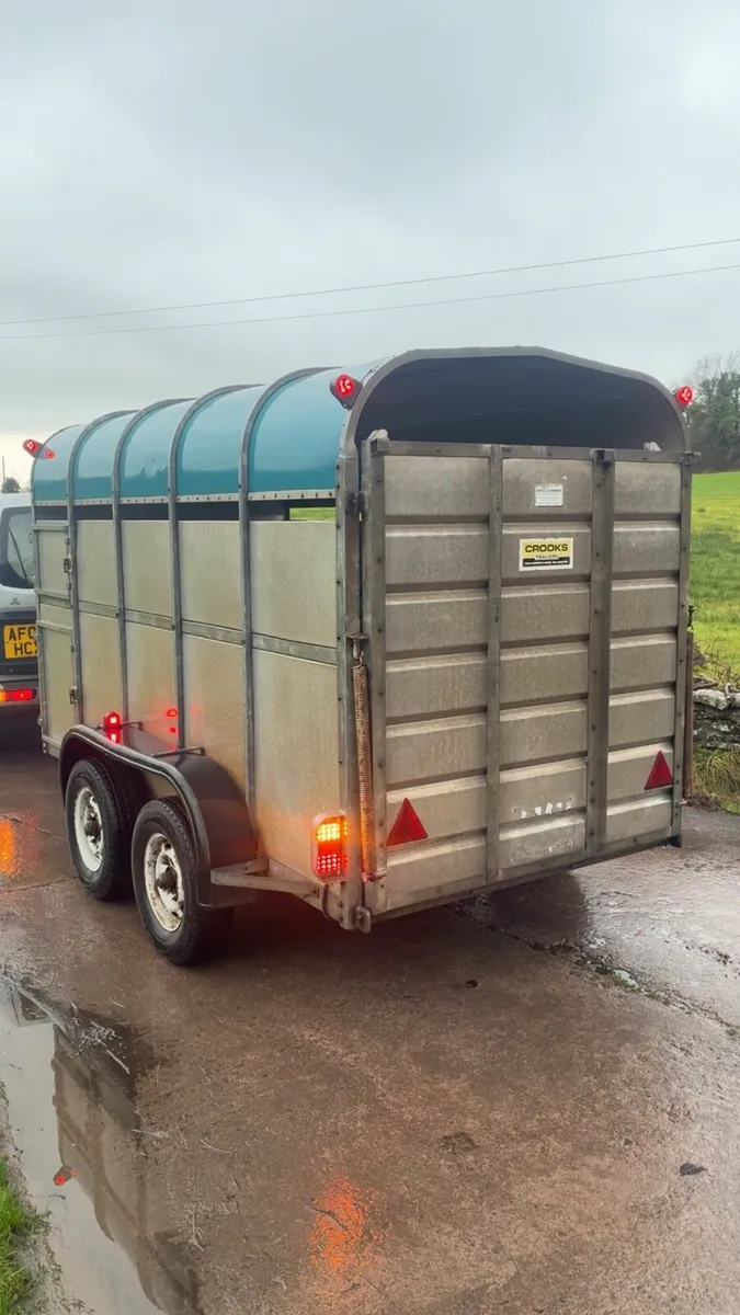 Crooks cattle / sheep trailer - Image 4
