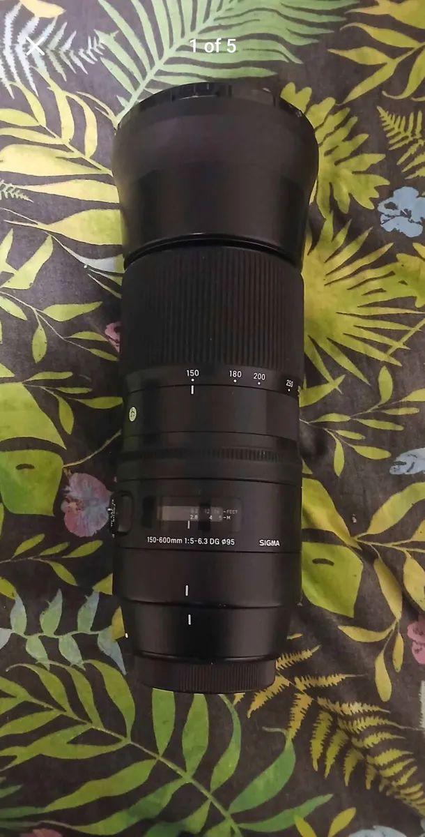 Sigma 150-600mm contemporary lens - Image 1
