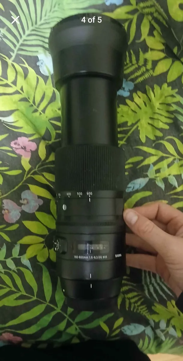 Sigma 150-600mm contemporary lens - Image 2