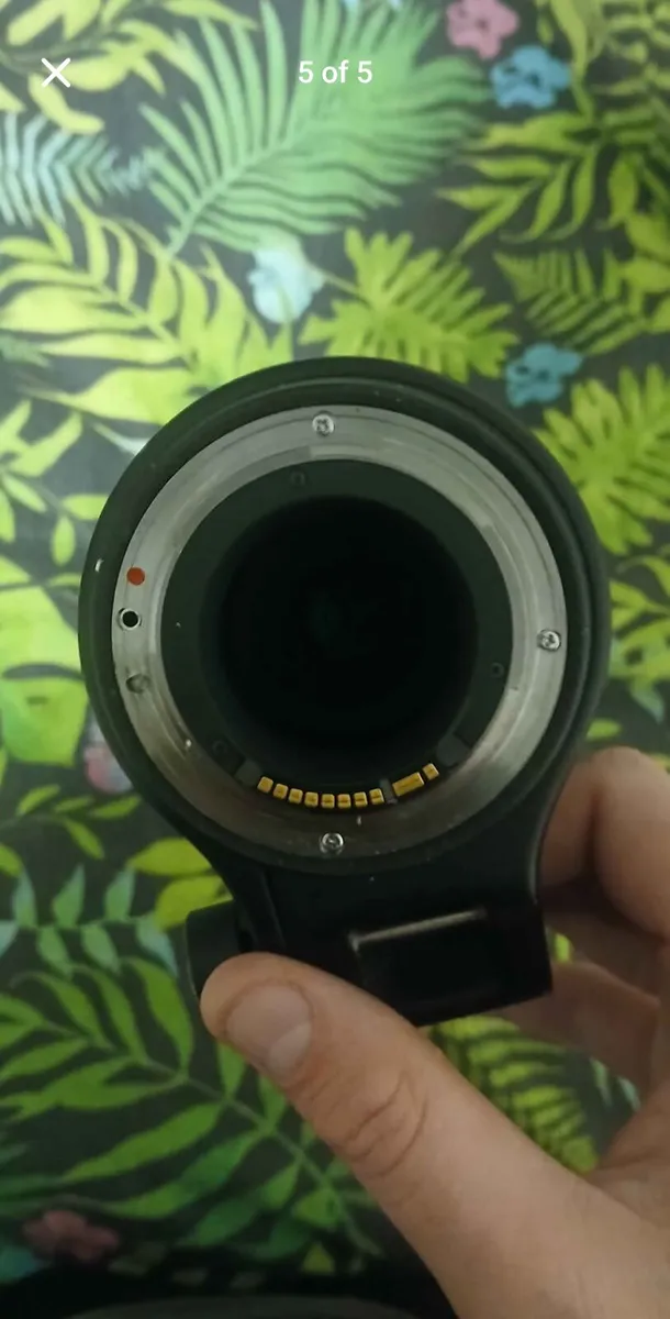 Sigma 150-600mm contemporary lens - Image 4