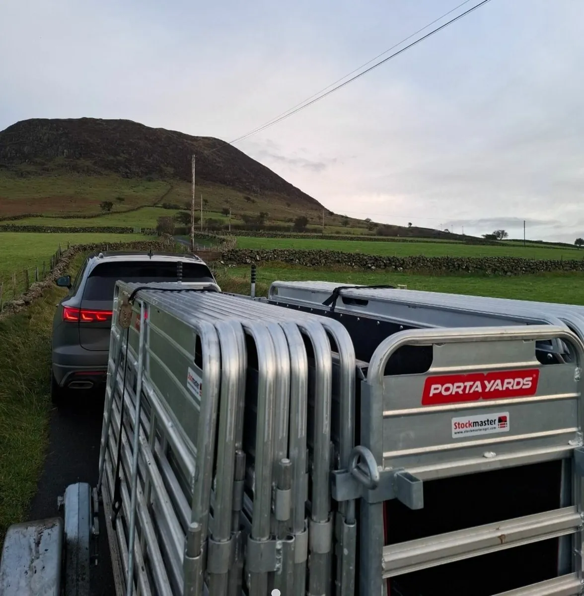 Portayards For Sheep - Image 2