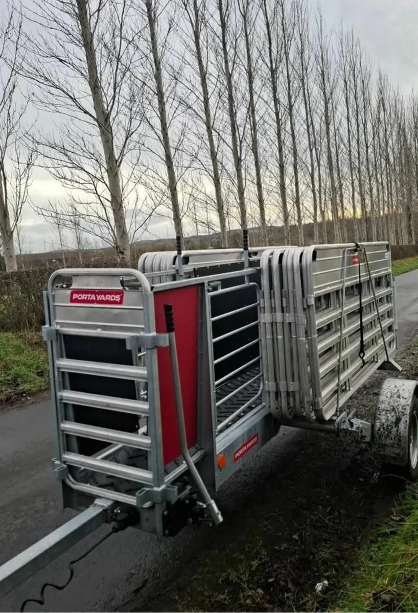 Portayards For Sheep - Image 3