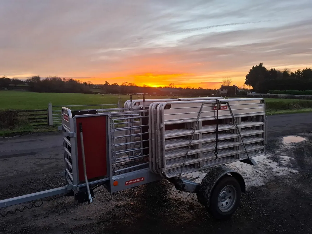 Portayards For Sheep - Image 1