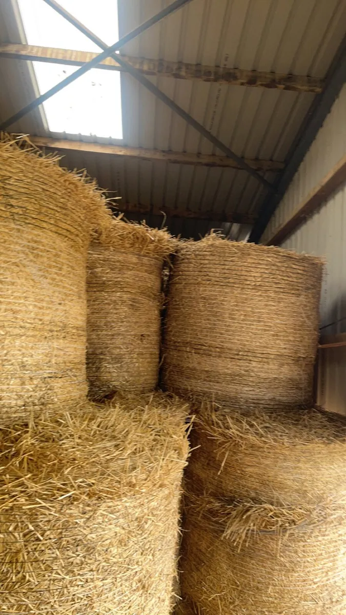 Straw - Image 1