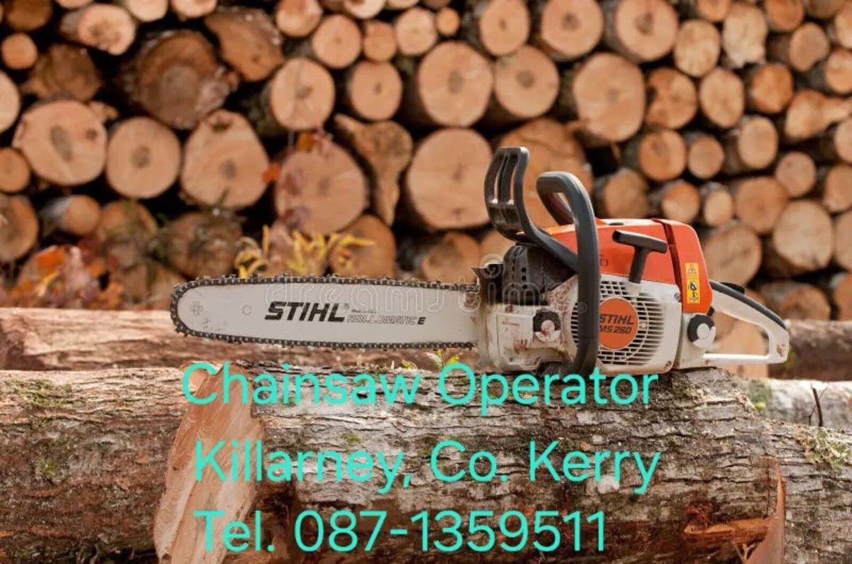 Affordable Chainsaw Operator