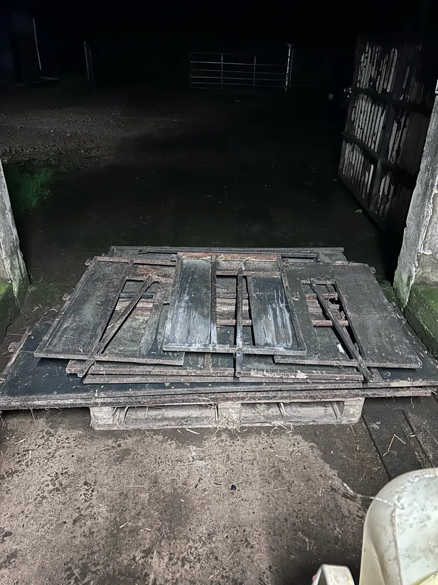 Ewe adopting unit - Image 1