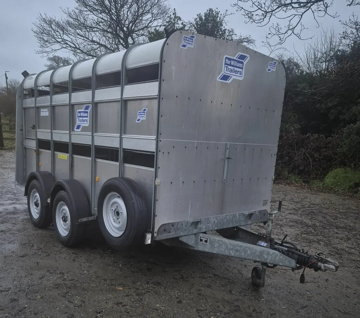 Ifor Williams 12x 6  cattle/sheep trailer - Image 1