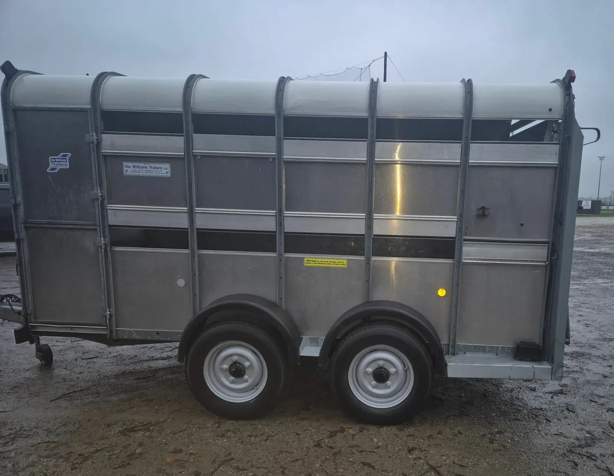 Ifor Williams 12x 6  cattle/sheep trailer - Image 4