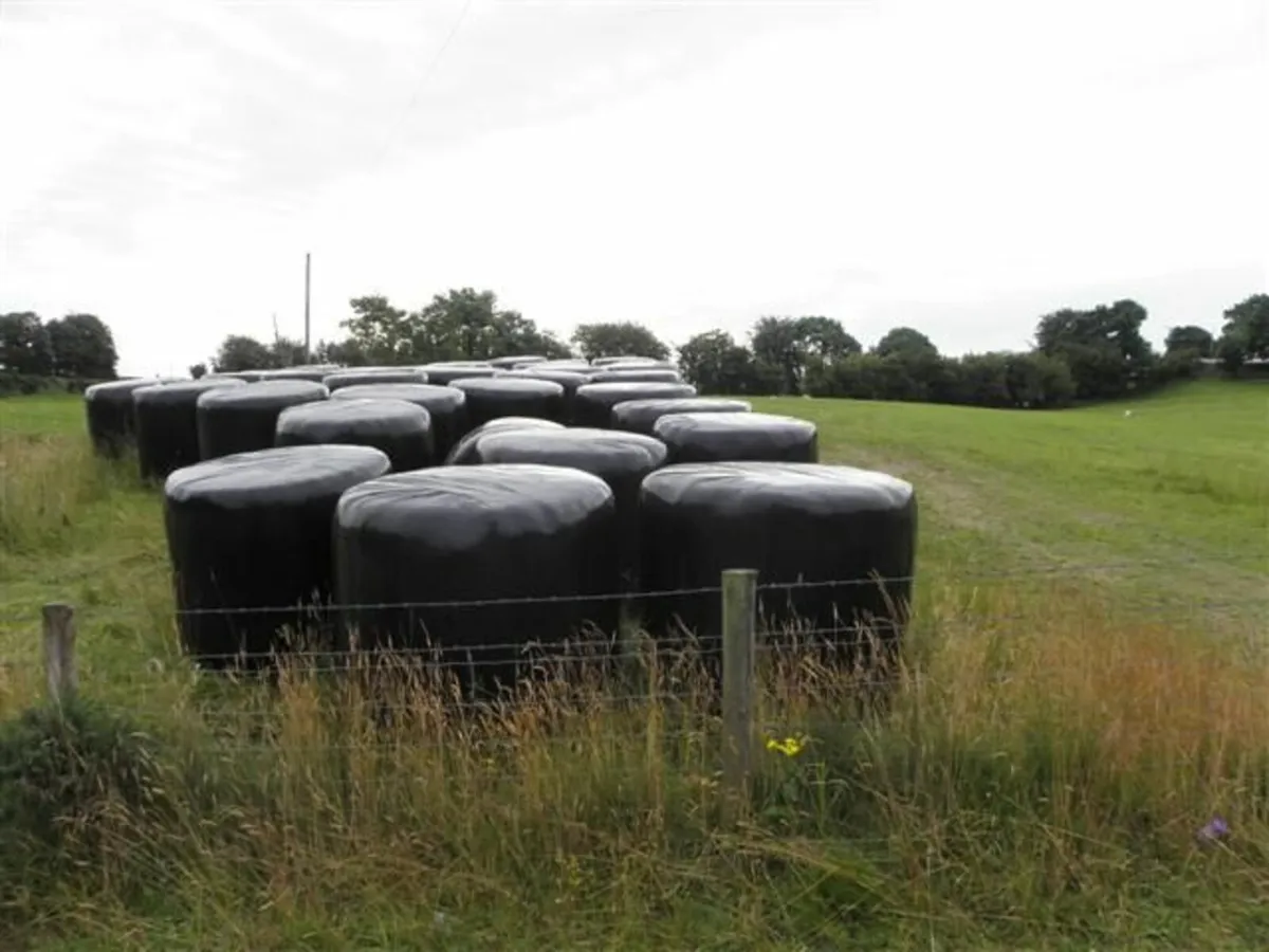 Round Bales Silage