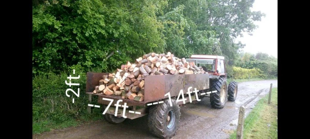 Softwood Firewood - Large Quantity - Image 1