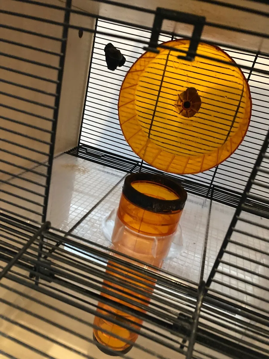 Hamster cage - Image 4