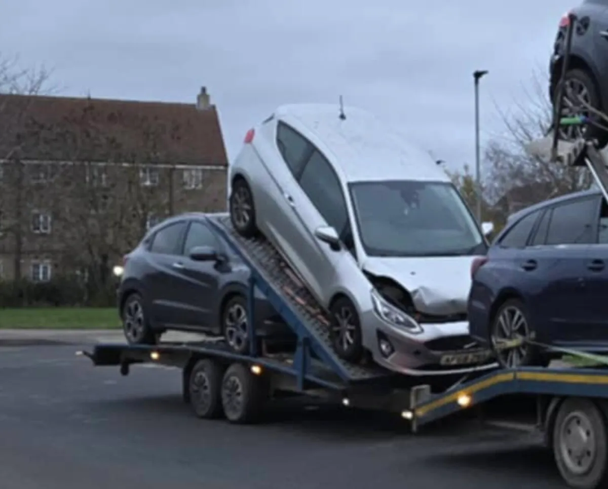 2 car trailer - Image 2