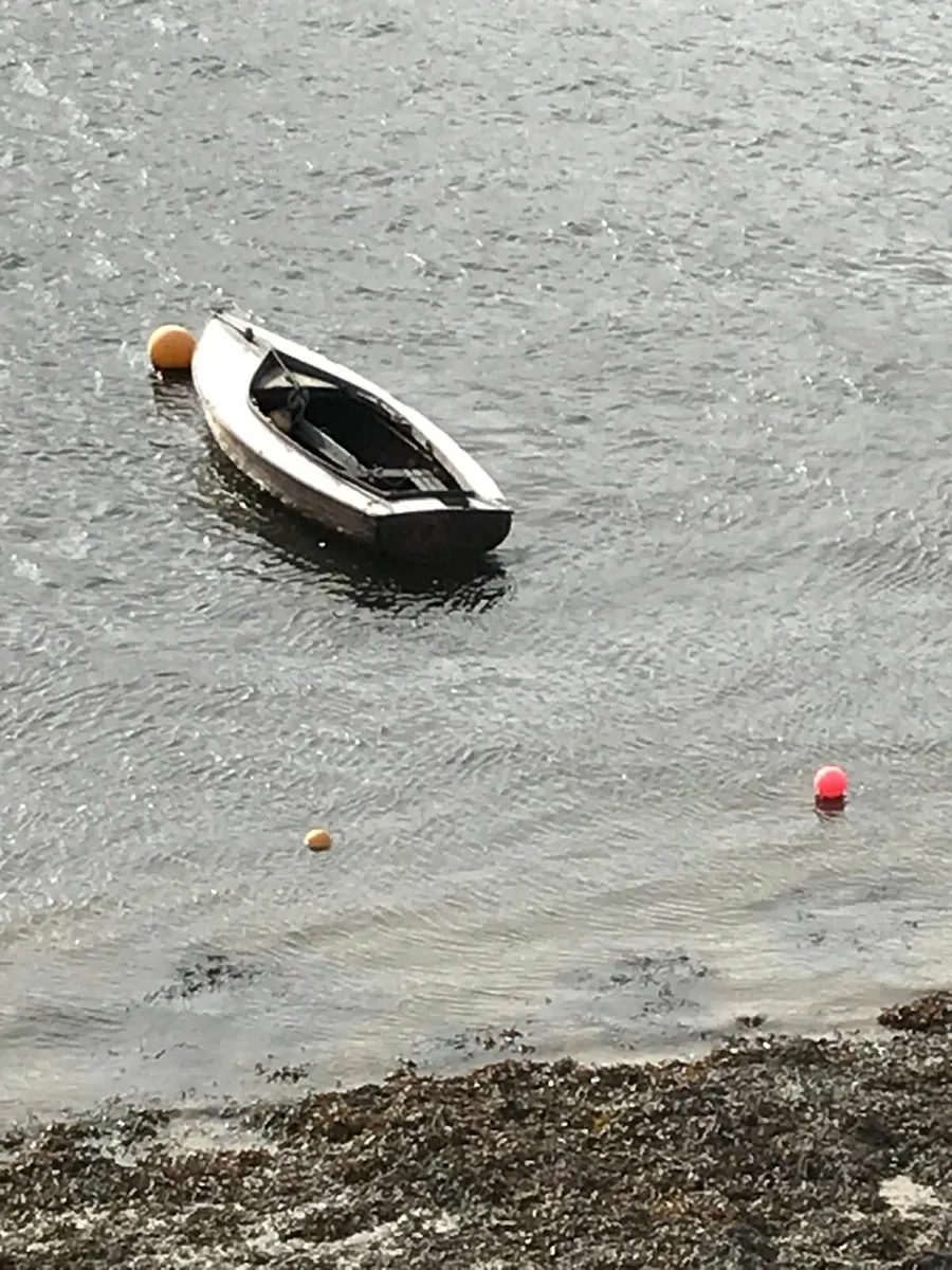 Dublin Bay Mermaid - Image 2