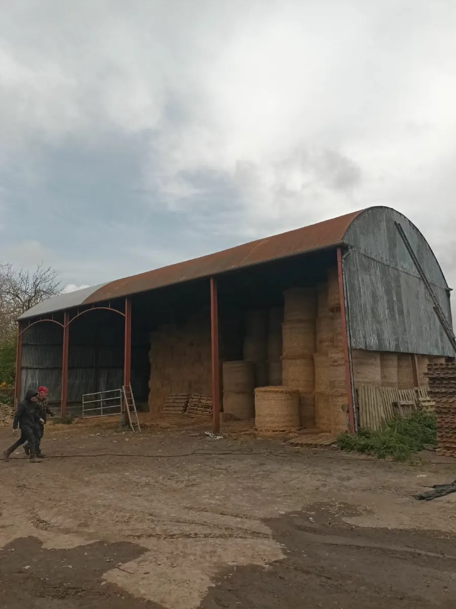 Munster Farm Shed Repairs & Painting - Image 2