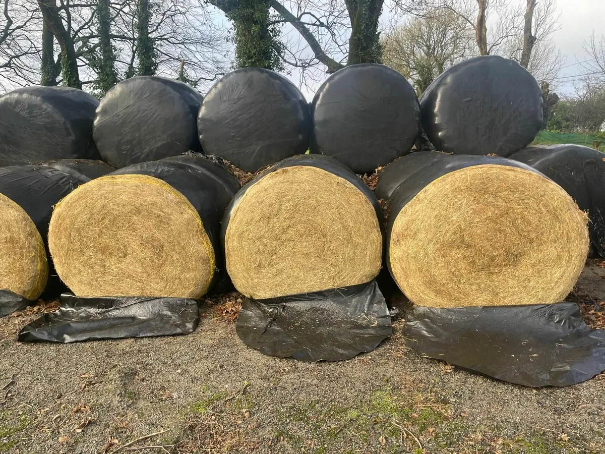 HAY & HALAGE - Image 1